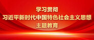 草逼网站hgfhg学习贯彻习近平新时代中国特色社会主义思想主题教育_fororder_ad-371X160(2)